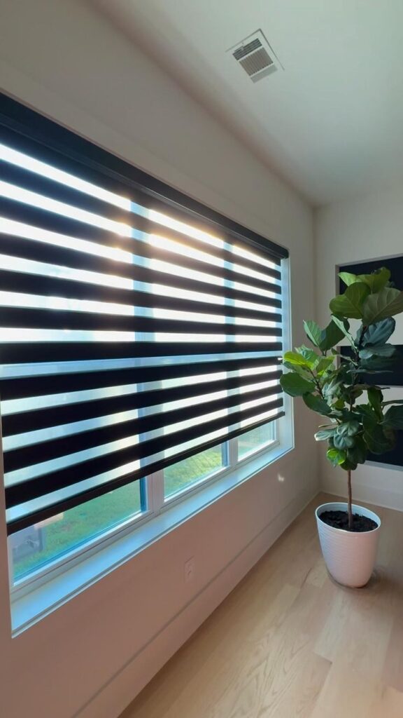 window blinds